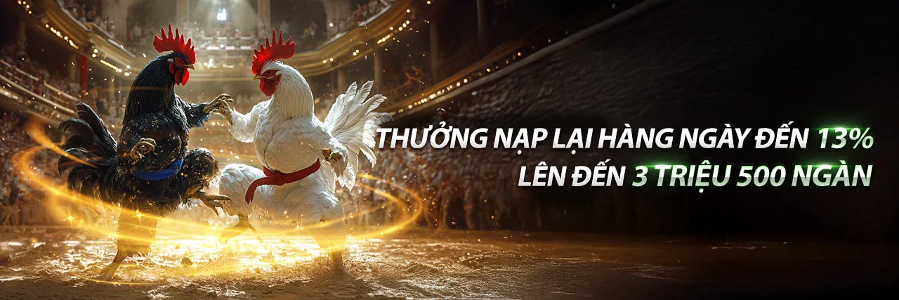 Hình ảnh chính về tin tức tr888